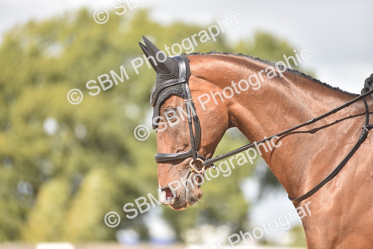 SBM_03405 - D4 - Small Tour Championship Intro 4