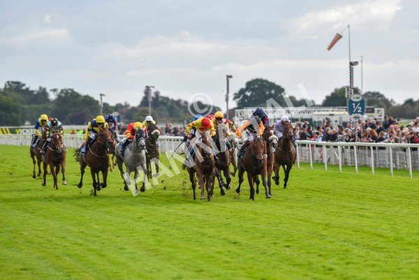 230923-Race 4-Aphelios-6481 - Race 4 3.45pm Jigsaw Sports Branding Handicap