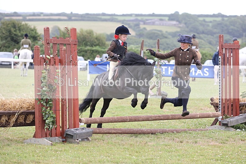 JPP_1736 - Class 18: Tiny Tots Working Hunter Pony