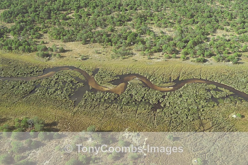 View of the Delta From the Air - Botswana ~ Various Other