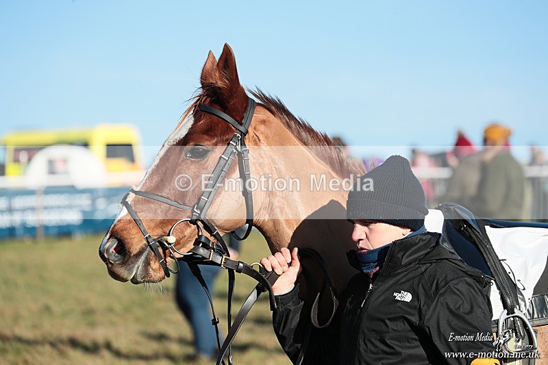 PR PtP 240126 266 - Pony Racing Horseheath 24/01/26