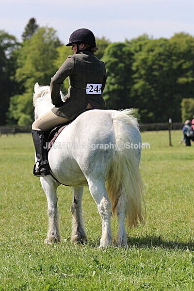 SIAL4020 - Ring 3 and 4
