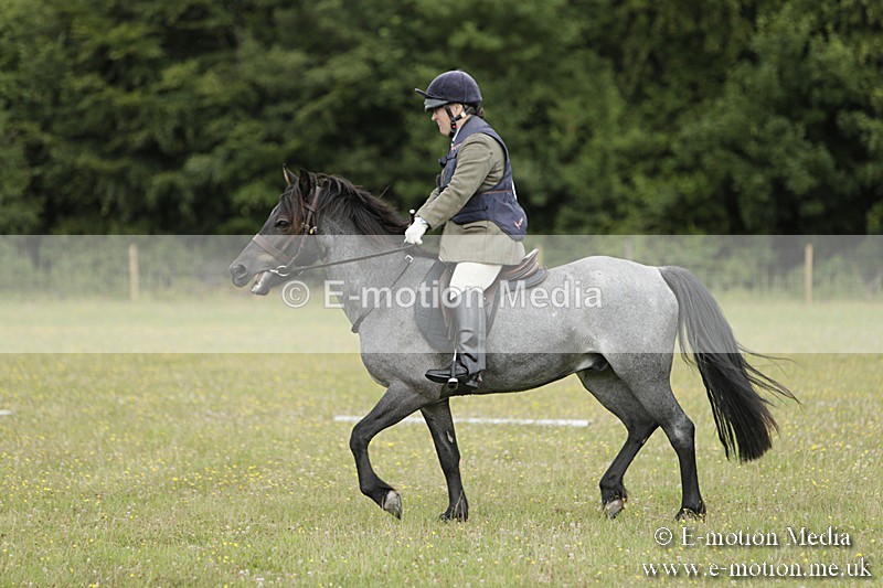 BVR160717-649 - Class 1 & 23a Dressage 16/07/17