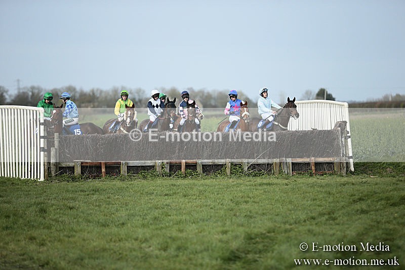 PtP 230319 383 - VWH Hunt Siddington Point-to-Point Racing 23/03/19