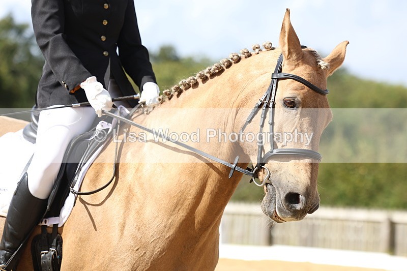 3E7A2977 - Class 5: Prelim 6 Section B Championship