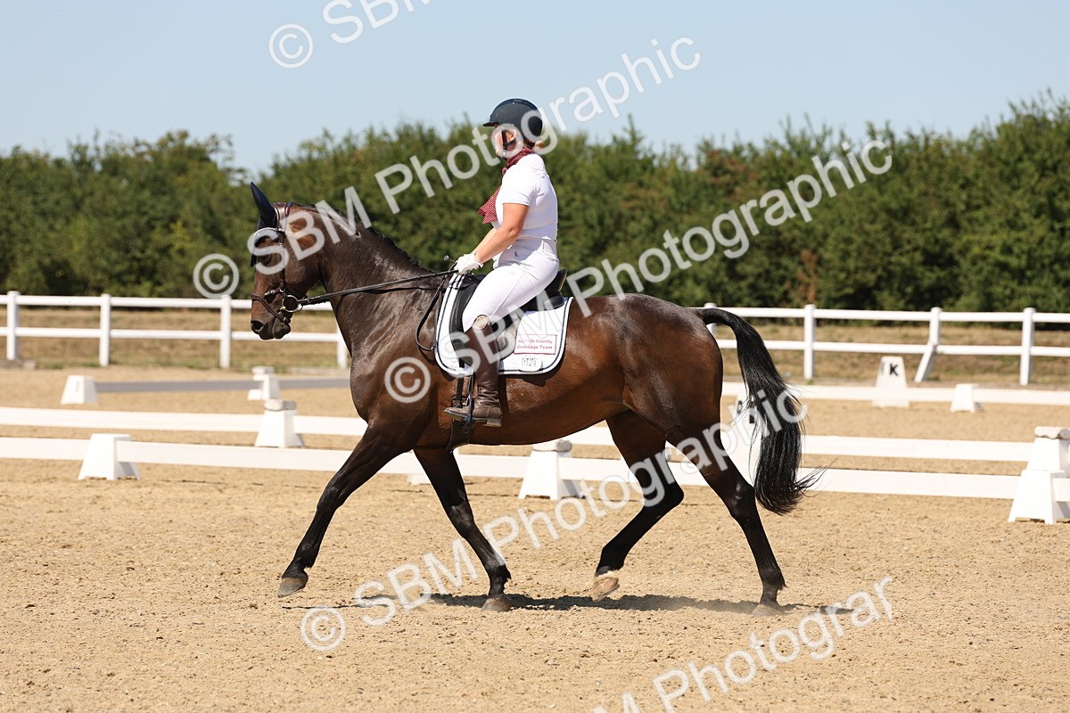 SBM_002755 - Elementary 4
