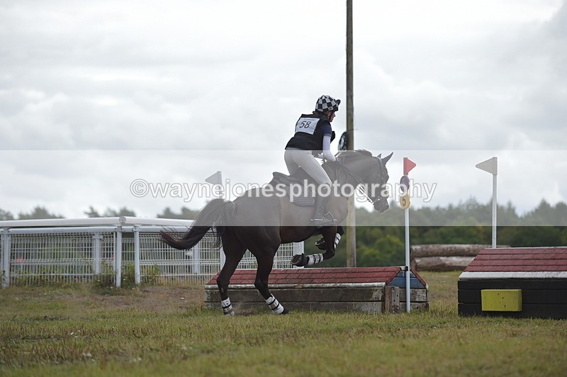 NGP_2325 - XC Time 11:20 to 11:36