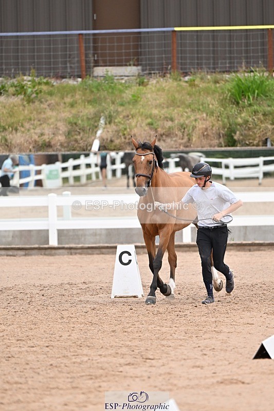 250716-135851-00833 - Trot Up 1.30 to 2.30