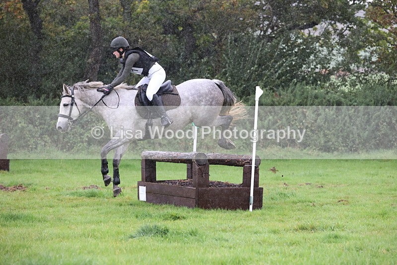 JPP_5414 - Class 4: 80cm: Crossed Logs