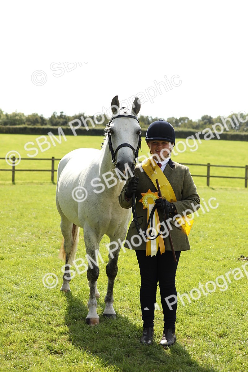 SBM_65619 - S48 - Show Pony & Show Hunter Pony In Hand