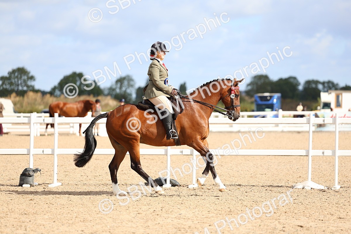 SBM_10159 - Class 304 - Ridden Part Bred Horse Pony