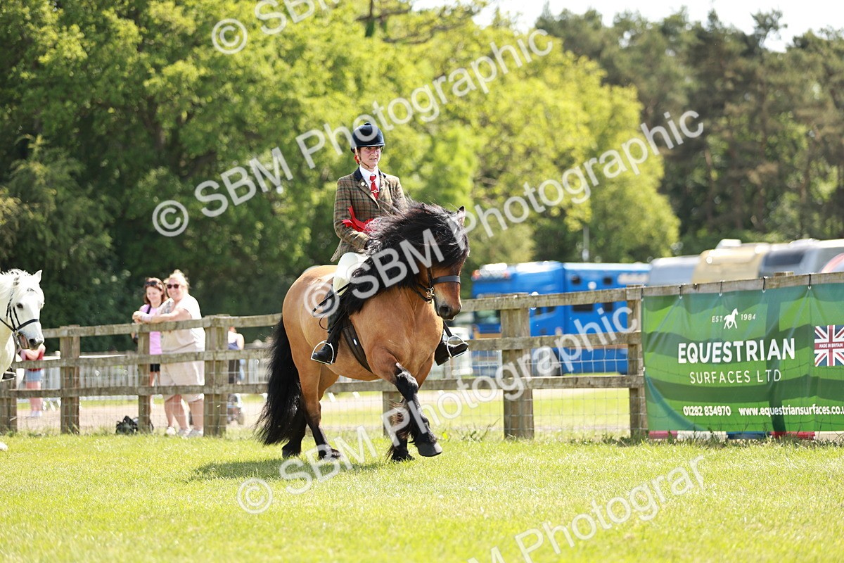 SBM_07223 - Class 26-30 - Mountain and Moorland Ridden