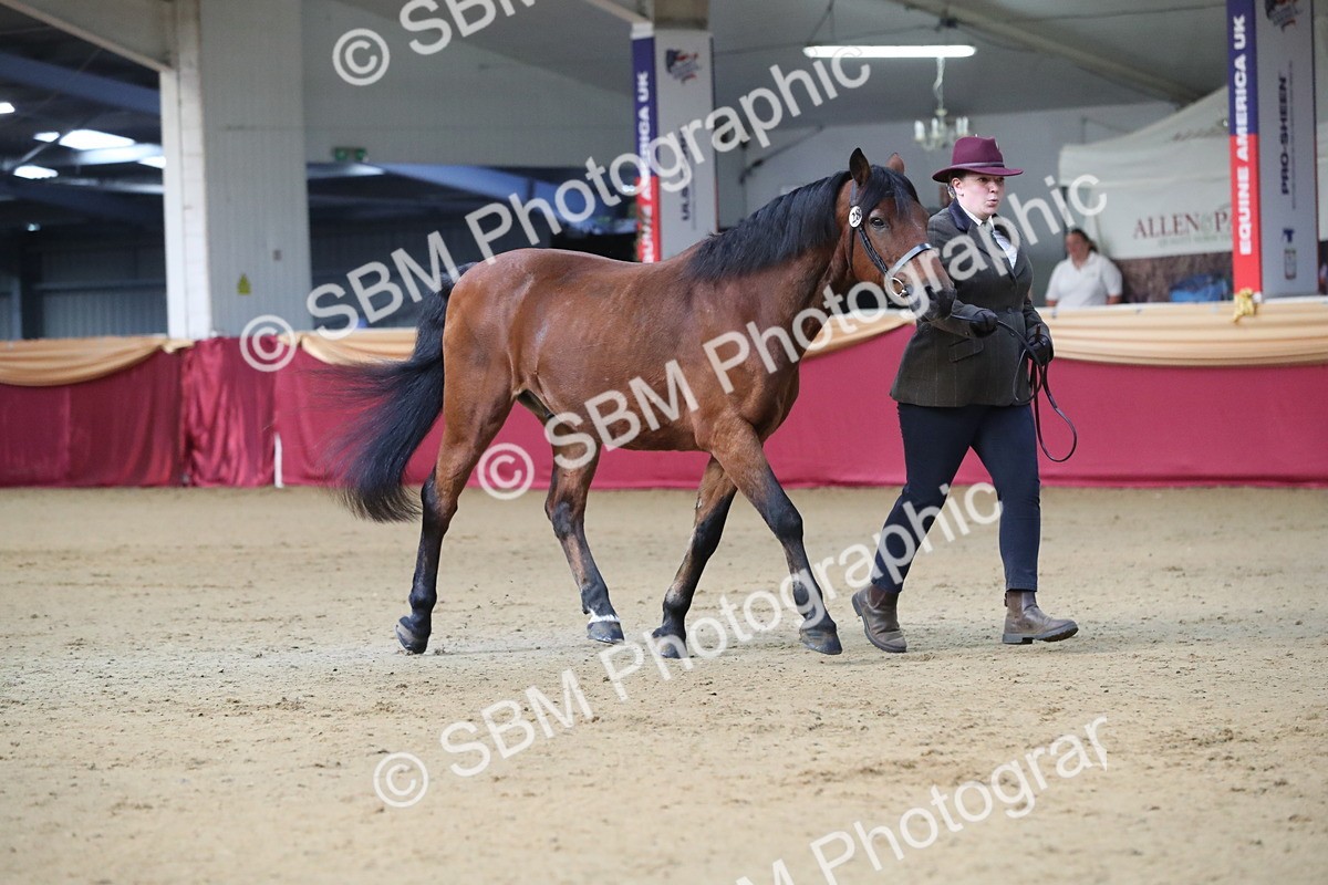 SBM_00305 - Class 1a - Area IH Diamond