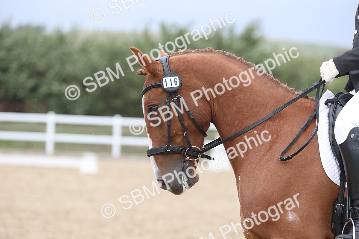 SBM_004303 - Class 9 - Novice 3 Champs