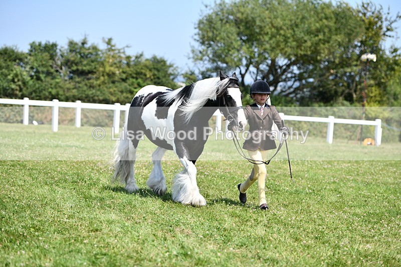 DSC_7684 - Class 64: Coloured Pony 4yrs & over