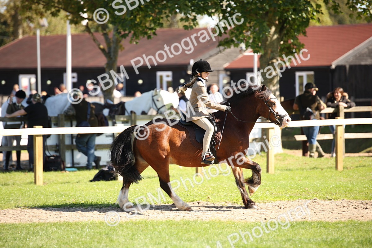 SBM_39029 - S11 - Best Ridden Horse & Pony