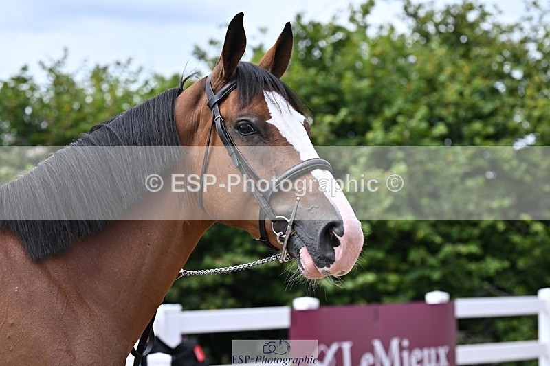 250716-130154-00271 - Trot Up 12.30 to 1.30