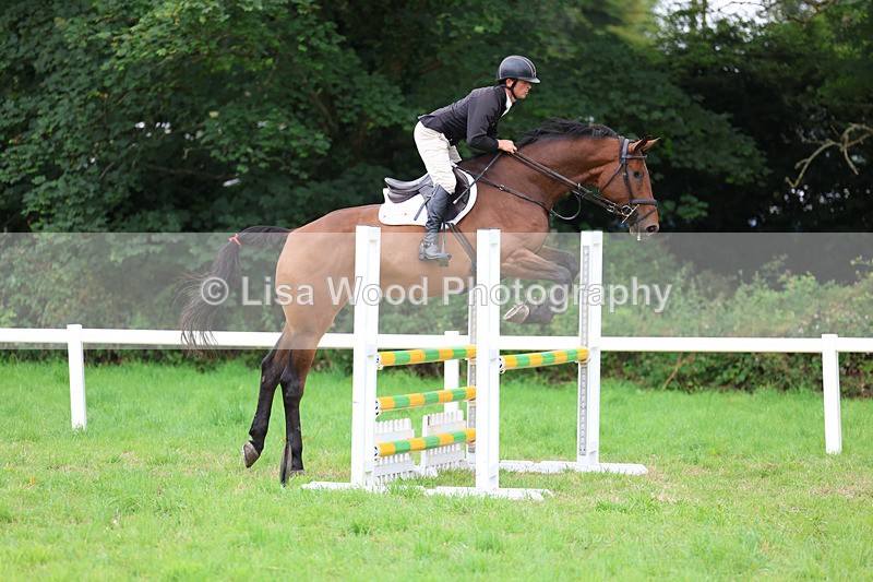 3E7A7216 - Class 5: Senior British Novice/90cm open