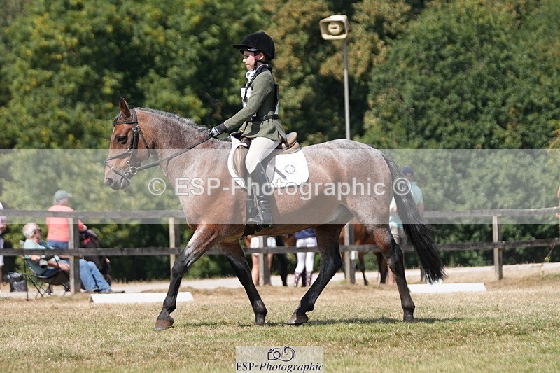 250823A-133249-31216 - Arena A