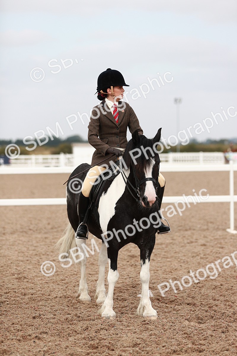 SBM_16758 - Class 214 Ridden Cob