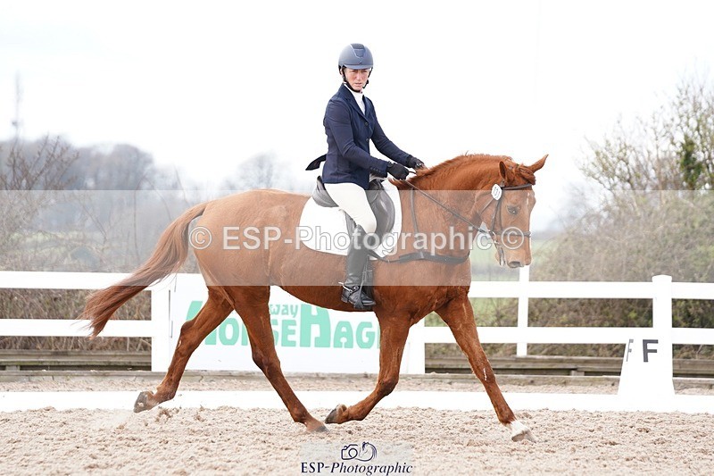 250322-131536-00475 - DR Elementary 2 Test