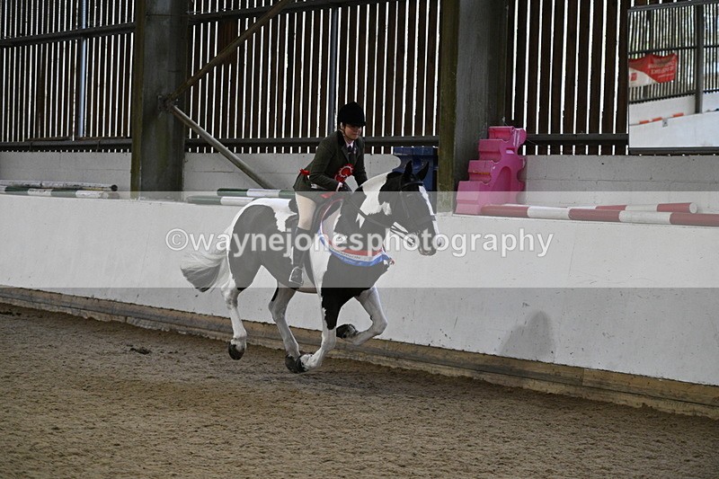 WJ7_4722 - Afternoon Champs