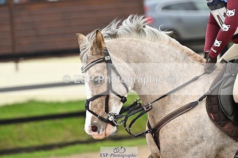 241110-120100-00562 - 50-55cm Arena Eventing