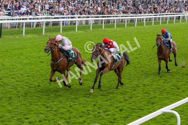 230824-Race 2-Vauban-8340 - Race 2 2.25pm Weatherbys Hamilton Lonsdale Cup Stakes