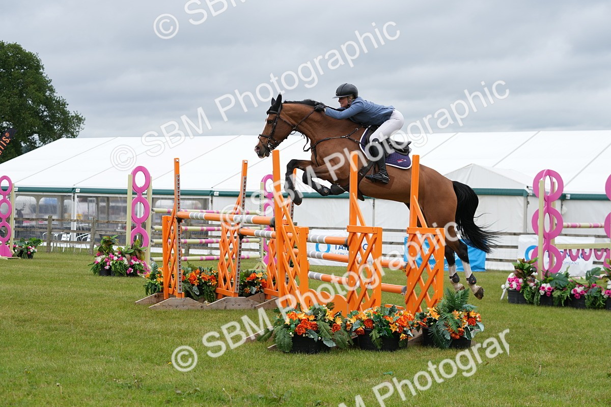 SBM_03360 - Class 201 - British Horse Feeds Speedi Beet Horse of the Year Show Grade  C