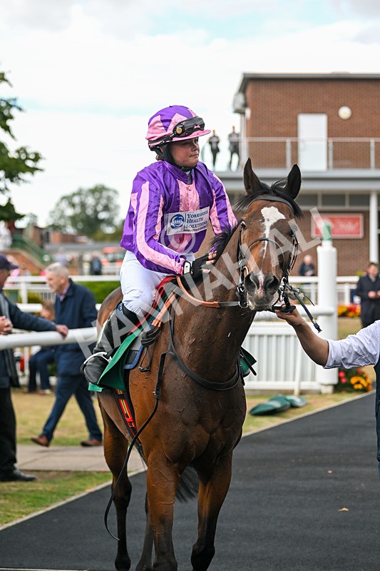 290825-Race 1-Sandret-8174 - Race 1