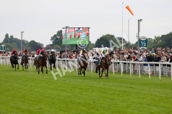 250524-Race 6-Primo Lara-3263 - Race 6 4.30pm Royal Yorkshire Regiment Handicap