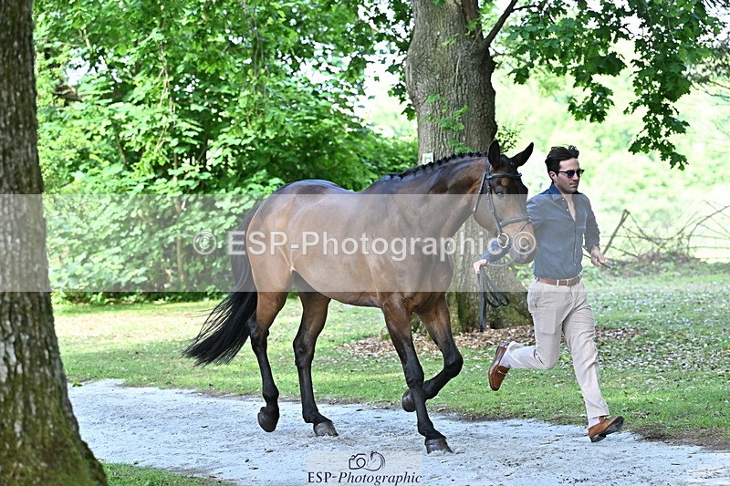 250521A-153431-00599 - B-317-Rupert.Batting-COOMBELAND.TALISMAN