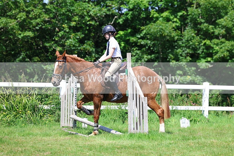 3E7A7107 - Class 30: Novice Working Hunter