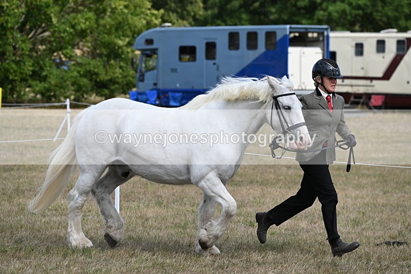 WJ6_6496 - Class 20 In-hand Cob