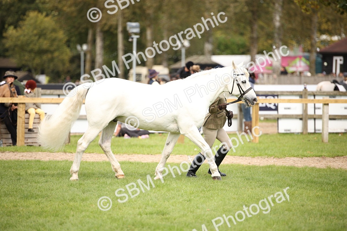 SBM_46366 - S25 - Mature Veteran In Hand