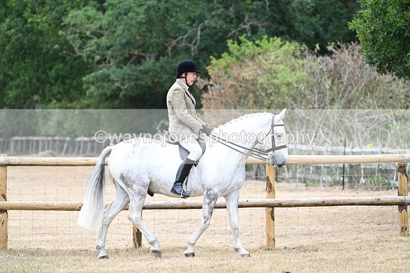WJ7_0731 - Class 7 Riding Club Show Horse