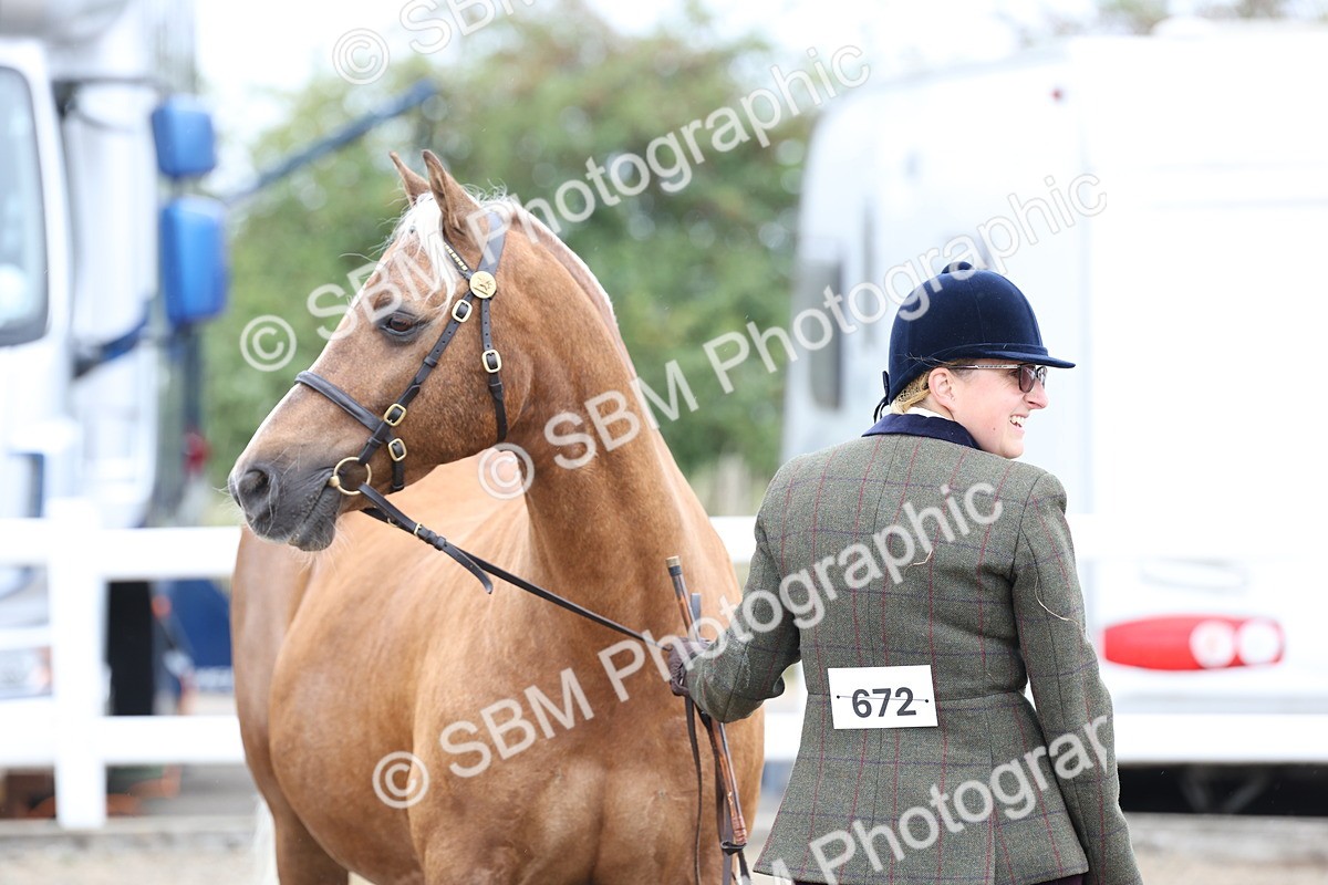 SBM_00043 - Class 50 - Best Turned Out IH