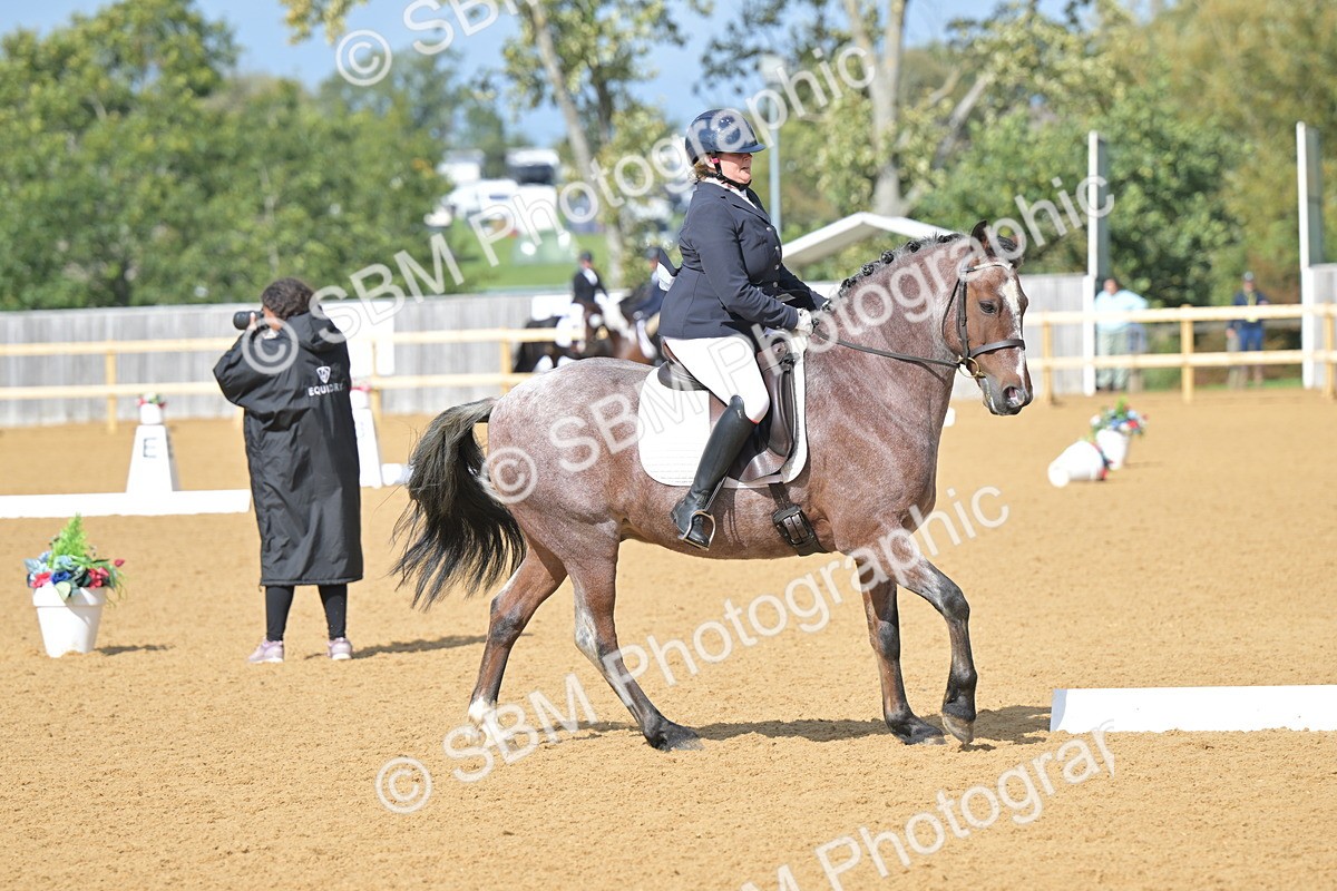SBM_10944 - D3 - Small Tour Championship Intro 3