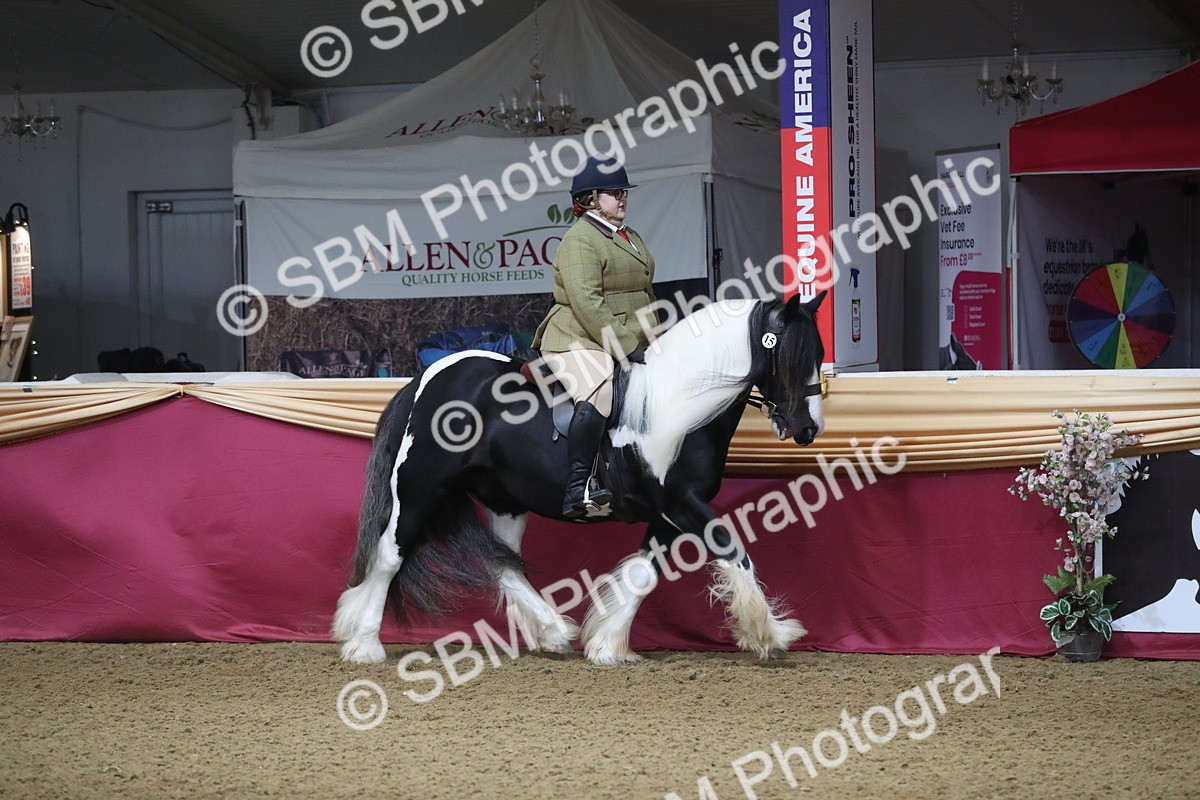 SBM_10314 - Class 102 Equitation (best rider) Adult