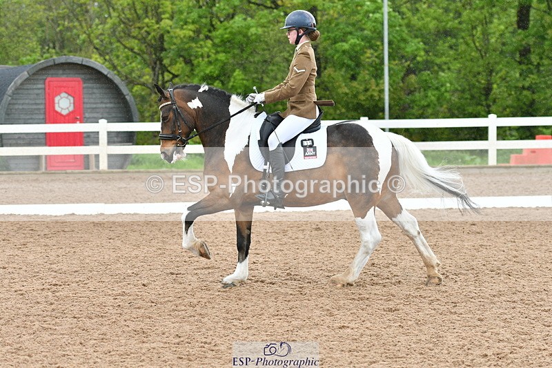 230511A-133206-00782 - BD Cls 10 Medium 61