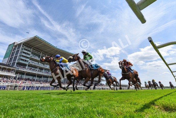 130625-Race 1-Feel The Need-4278 - Race 1 1.50pm Andy Thornton Hospitality Furniture Apprentice Handicap