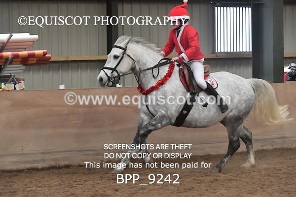BPP_9242 - CLASS 4 50CM Novice Show Jumping