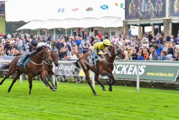 230923-Race 3-Politico-6284 - Race 3 3.10pm Happy 60th Birthday Angela Clark Nursery Handicap