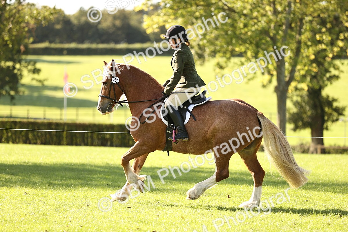 SBM_16957 - S2 - TSR Ridden Pony Showing