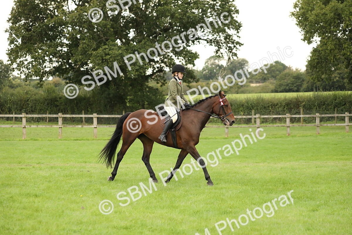 SBM_73720 - S41 - Ridden Equitation (Best Rider)