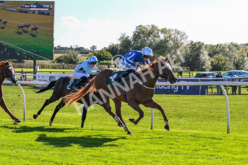 300926-Race 2-Gold Key-5991 - Race 2 2.32pm EBF Maiden Stakes