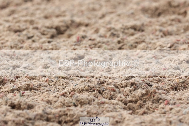 240622A-171158-14817 - Cls 38 BD FEI PSG