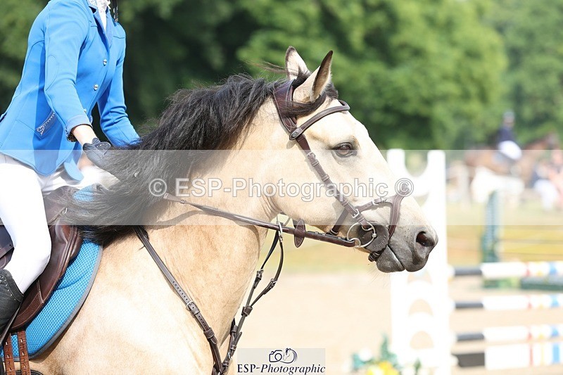 230617-092409-00688 - Cls 08a Pony 1.05