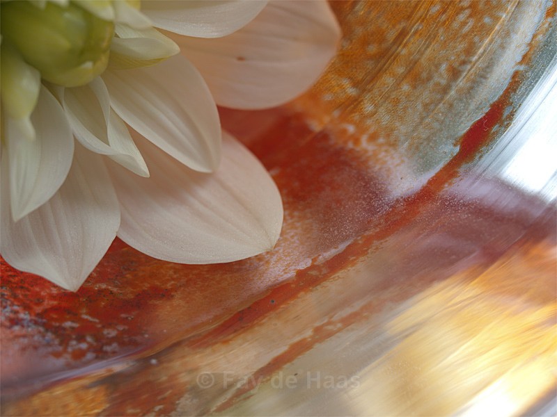  - The Glow of Summer