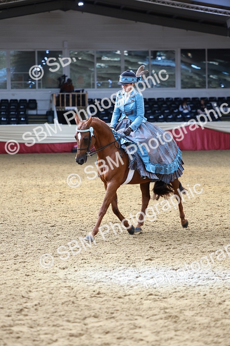 SBM_13755 - Class 106 - Ridden Costume -Astride Adult (15-19)